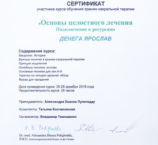 Основы целостного лечения