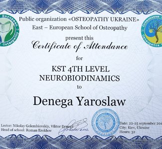 CST 4th level Neurobiodynamic 